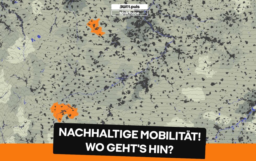 Webseite von bwim.puls